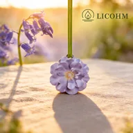 LICOHM Scented Plaster Tablet - 3D Begonia Flower Relief Pendant — image 3
